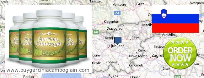 Dónde comprar Garcinia Cambogia Extract en linea Slovenia